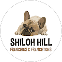 Shiloh Hill Frenchies & Frenchtons