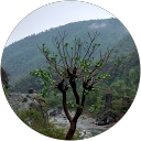 Prabhakar